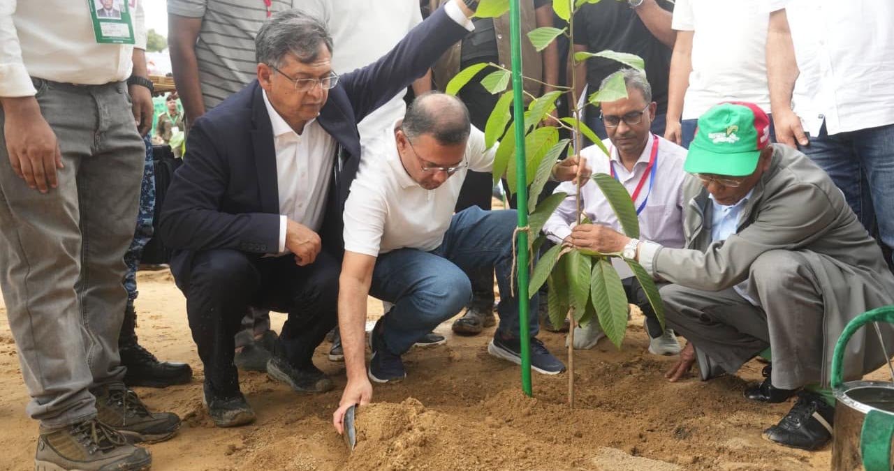 দেশব্যাপী ২৫ কোটি বৃক্ষরোপণ কর্মসূচির উদ্বোধন প্রধানমন্ত্রীর