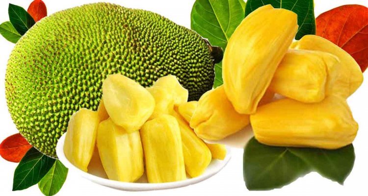 পুষ্টিগুণে জাতীয় ফল কাঁঠাল